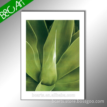 Big green leaves photo decor custom canvas prints wall painting botanical picture print